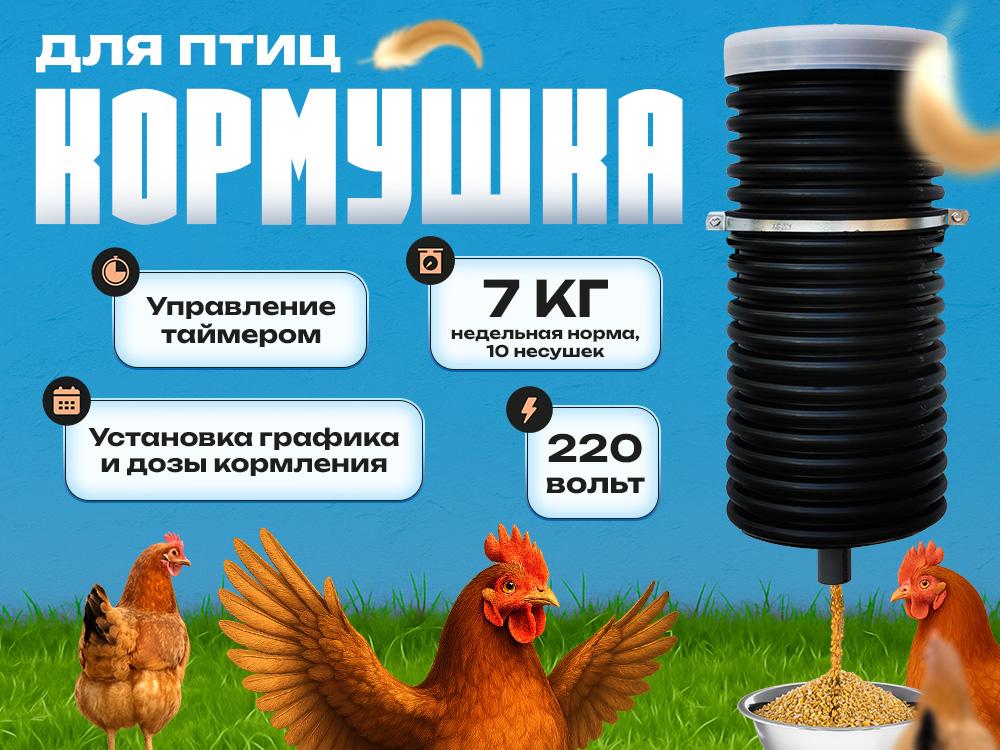 5d2eafb6-ccac-4394-8a88-e430be8851bd-4_3 (1).jpg